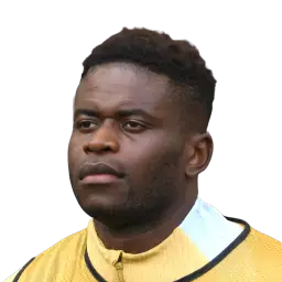 Brice Samba