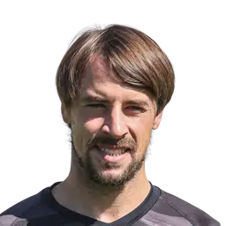 Vítor Gomes