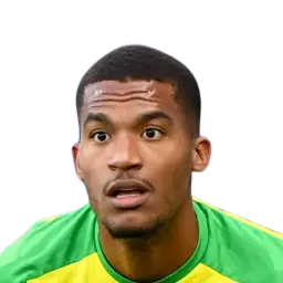 Alban Lafont