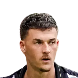 Ajdin Hrustić