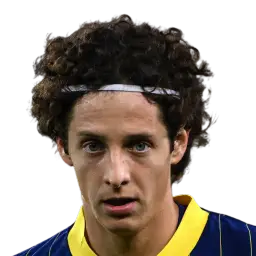 Domagoj Bradarić