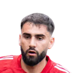 Romain Del Castillo