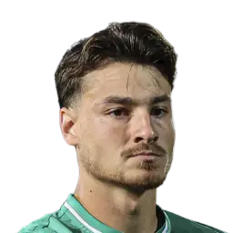Dani Figueira
