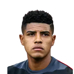 Wilder Cartagena