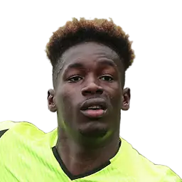 Celton Biai
