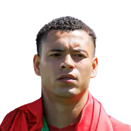 Matheus Pereira