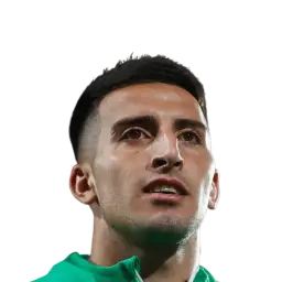Nicolás Fernández Mercau