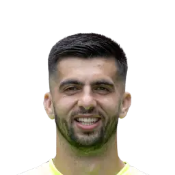 Nediljko Labrović