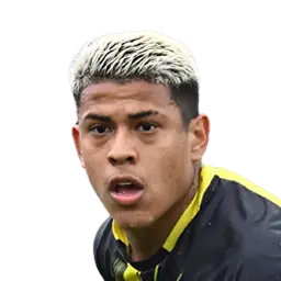 Matheus Martins