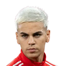 Enzo Barrenechea