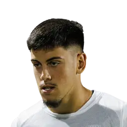 Marco Ribeiro