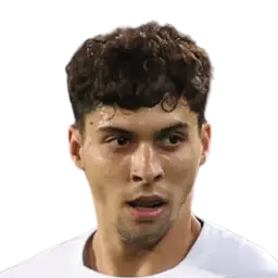 Franco Zanelatto