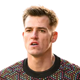 Radek Vitek