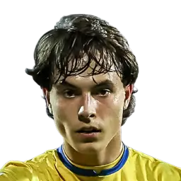 Vinicius Nelson de Souza