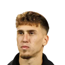 Brajan Gruda