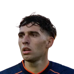 Luis Hasa
