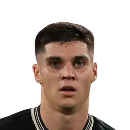 Vasilije Adžić