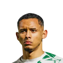 Michel Augusto Rafael dos Santo