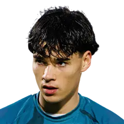 Afonso Assis
