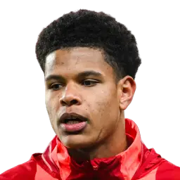 Raphaël Le Guen