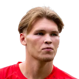 Joel van den Berg