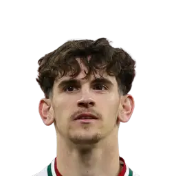 Tamás Szűcs